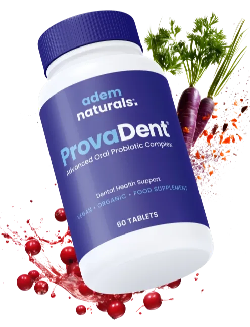 provadent provadent